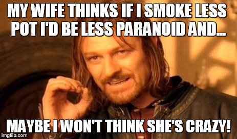 Crazy Wife, Crazy Life! | MY WIFE THINKS IF I SMOKE LESS POT I'D BE LESS PARANOID AND... MAYBE I WON'T THINK SHE'S CRAZY! | image tagged in memes,one does not simply | made w/ Imgflip meme maker