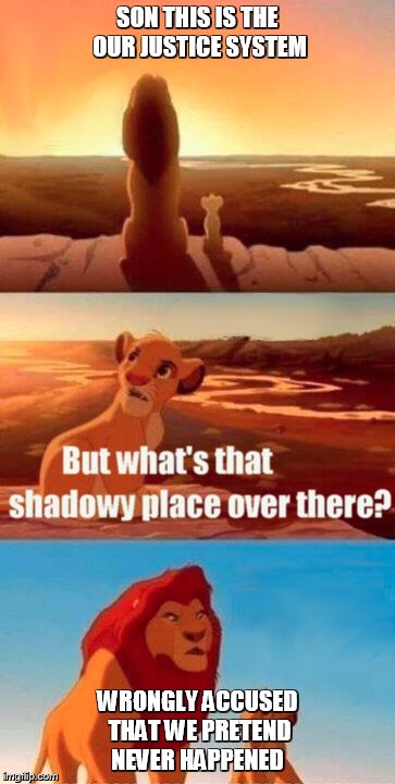 Simba Shadowy Place | SON THIS IS THE OUR JUSTICE SYSTEM WRONGLY ACCUSED THAT WE PRETEND NEVER HAPPENED | image tagged in memes,simba shadowy place | made w/ Imgflip meme maker