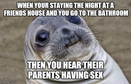 Awkward Moment Sealion Meme | WHEN YOUR STAYING THE NIGHT AT A FRIENDS HOUSE AND YOU GO TO THE BATHROOM THEN YOU HEAR THEIR PARENTS HAVING SEX | image tagged in memes,awkward moment sealion | made w/ Imgflip meme maker