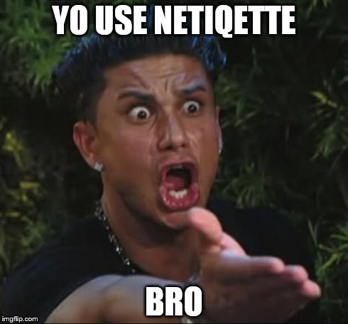 DJ Pauly D | YO USE NETIQETTE BRO | image tagged in memes,dj pauly d | made w/ Imgflip meme maker