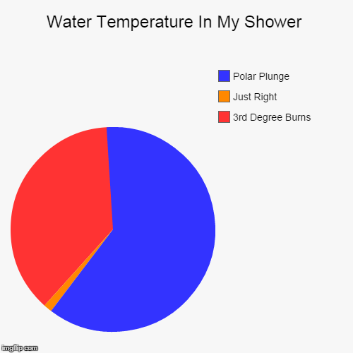 Water Temperature In My Shower | 3rd Degree Burns, Just Right, Polar Plunge | image tagged in funny,pie charts | made w/ Imgflip chart maker