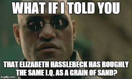 Matrix Morpheus Meme | WHAT IF I TOLD YOU THAT ELIZABETH HASSLEBECK HAS ROUGHLY THE SAME I.Q. AS A GRAIN OF SAND? | image tagged in memes,matrix morpheus | made w/ Imgflip meme maker