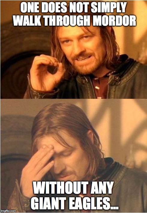 Eagles!  | ONE DOES NOT SIMPLY WALK THROUGH MORDOR WITHOUT ANY GIANT EAGLES... | image tagged in conflicted boromir,one does not simply,frustrated boromir,eagles | made w/ Imgflip meme maker
