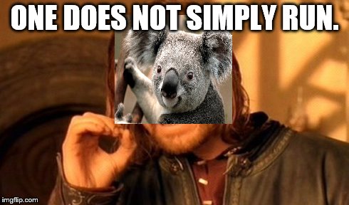 One Does Not Simply Meme | ONE DOES NOT SIMPLY RUN. | image tagged in memes,one does not simply | made w/ Imgflip meme maker