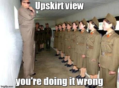 Upskirt view you're doing it wrong | image tagged in kim jong il | made w/ Imgflip meme maker