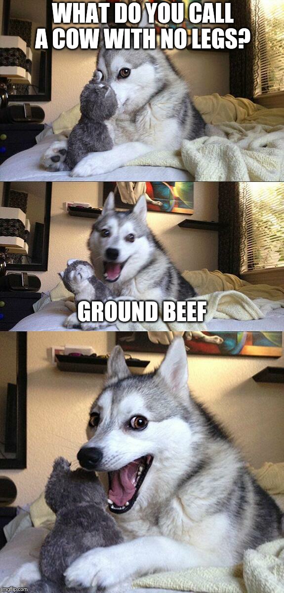 Bad Pun Dog | WHAT DO YOU CALL A COW WITH NO LEGS? GROUND BEEF | image tagged in memes,bad pun dog | made w/ Imgflip meme maker