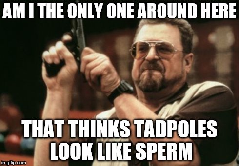 Am I The Only One Around Here | AM I THE ONLY ONE AROUND HERE THAT THINKS TADPOLES LOOK LIKE SPERM | image tagged in memes,am i the only one around here | made w/ Imgflip meme maker