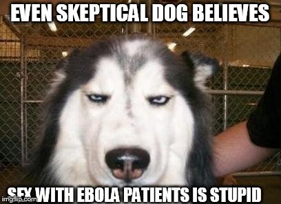 Skeptical Dog | EVEN SKEPTICAL DOG BELIEVES SEX WITH EBOLA PATIENTS IS STUPID | image tagged in skeptical dog | made w/ Imgflip meme maker