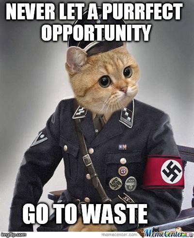 nazicat | NEVER LET A PURRFECT OPPORTUNITY GO TO WASTE | image tagged in nazicat | made w/ Imgflip meme maker