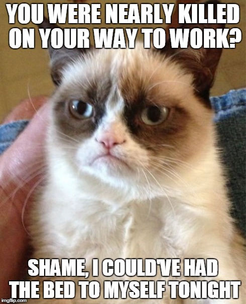 Grumpy Cat | YOU WERE NEARLY KILLED ON YOUR WAY TO WORK? SHAME, I COULD'VE HAD THE BED TO MYSELF TONIGHT | image tagged in memes,grumpy cat | made w/ Imgflip meme maker
