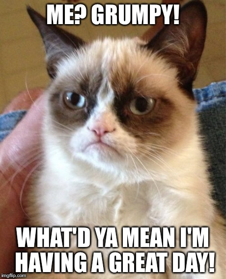 Having a great day! | ME? GRUMPY! WHAT'D YA MEAN I'M HAVING A GREAT DAY! | image tagged in memes,grumpy cat | made w/ Imgflip meme maker