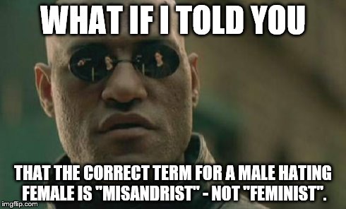Matrix Morpheus | WHAT IF I TOLD YOU THAT THE CORRECT TERM FOR A MALE HATING FEMALE IS "MISANDRIST" - NOT "FEMINIST". | image tagged in memes,matrix morpheus | made w/ Imgflip meme maker