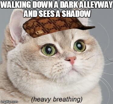 Heavy Breathing Cat | WALKING DOWN A DARK ALLEYWAY AND SEES A SHADOW | image tagged in memes,heavy breathing cat,scumbag | made w/ Imgflip meme maker