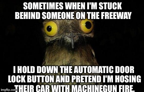 Weird Stuff I Do Potoo Meme | SOMETIMES WHEN I'M STUCK BEHIND SOMEONE ON THE FREEWAY I HOLD DOWN THE AUTOMATIC DOOR LOCK BUTTON AND PRETEND I'M HOSING THEIR CAR WITH MACH | image tagged in memes,weird stuff i do potoo | made w/ Imgflip meme maker