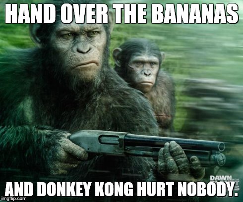 Donkey Kong Country: Tropical Warefare | HAND OVER THE BANANAS AND DONKEY KONG HURT NOBODY. | image tagged in donkey kong country tropical warefare | made w/ Imgflip meme maker
