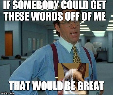 That Would Be Great Meme | IF SOMEBODY COULD GET THESE WORDS OFF OF ME THAT WOULD BE GREAT | image tagged in memes,that would be great | made w/ Imgflip meme maker