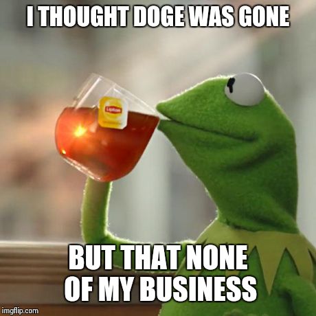 I THOUGHT DOGE WAS GONE BUT THAT NONE OF MY BUSINESS | image tagged in memes,but thats none of my business,kermit the frog | made w/ Imgflip meme maker