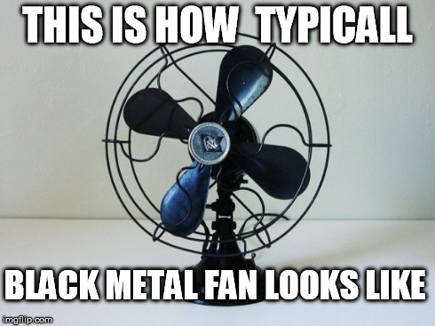 Black metal fan | THIS IS HOW  TYPICALL BLACK METAL FAN LOOKS LIKE | image tagged in black,metal,fan | made w/ Imgflip meme maker