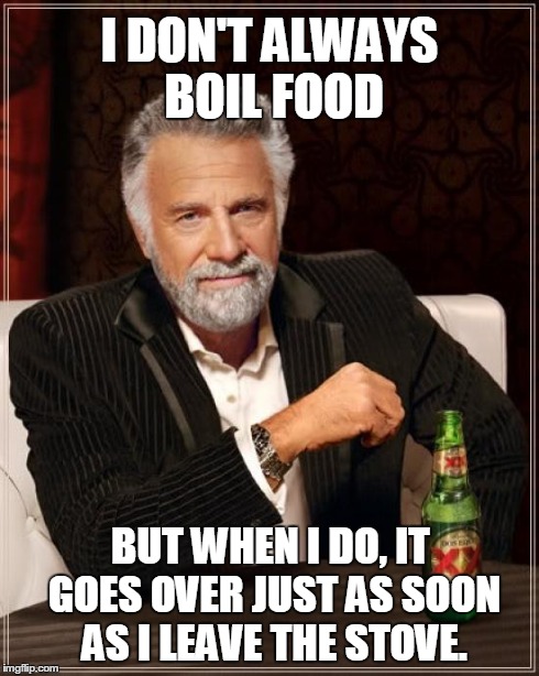 The Most Interesting Man In The World Meme | I DON'T ALWAYS BOIL FOOD BUT WHEN I DO, IT GOES OVER JUST AS SOON AS I LEAVE THE STOVE. | image tagged in memes,the most interesting man in the world | made w/ Imgflip meme maker