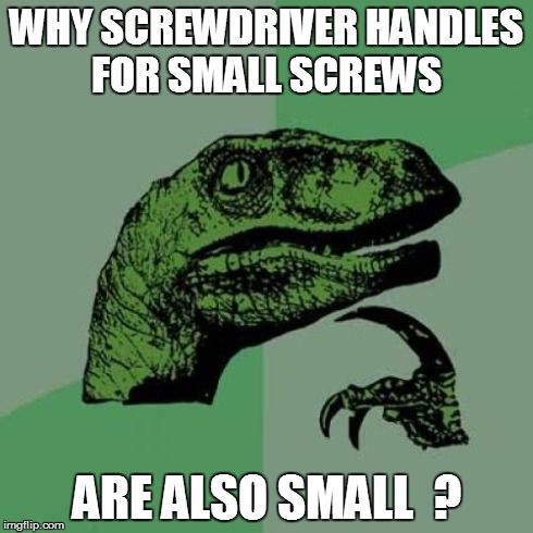 Philosoraptor | WHY SCREWDRIVER HANDLES FOR SMALL SCREWS ARE ALSO SMALL  ? | image tagged in memes,philosoraptor | made w/ Imgflip meme maker