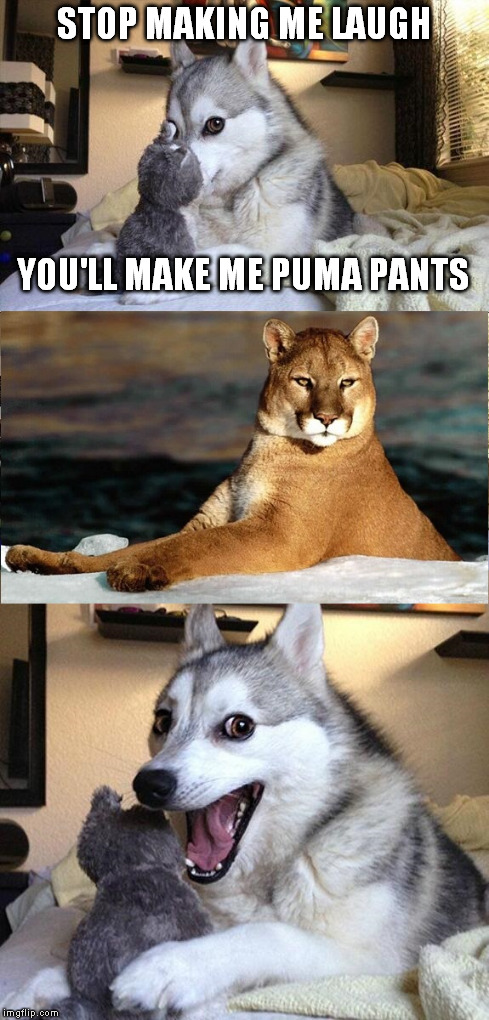 dog and puma show | STOP MAKING ME LAUGH YOU'LL MAKE ME PUMA PANTS | image tagged in bad pun dog | made w/ Imgflip meme maker