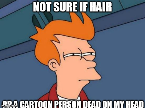 Futurama Fry Meme | NOT SURE IF HAIR OR A CARTOON PERSON DEAD ON MY HEAD | image tagged in memes,futurama fry | made w/ Imgflip meme maker