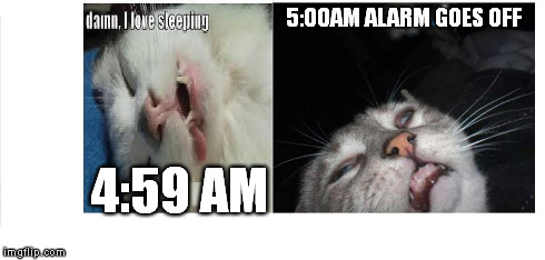 Monday  | 5:00AM ALARM GOES OFF 4:59 AM | image tagged in mondays | made w/ Imgflip meme maker