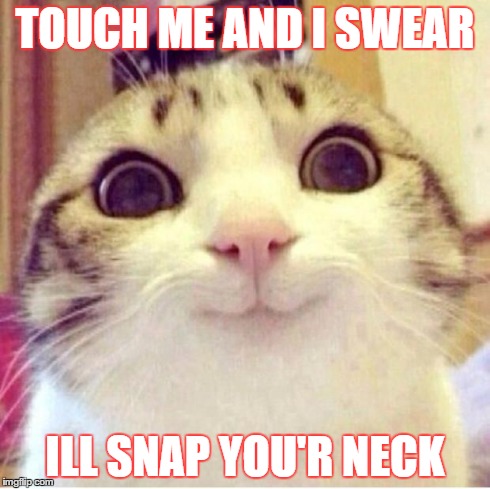 Happy cat | TOUCH ME AND I SWEAR ILL SNAP YOU'R NECK | image tagged in happy cat | made w/ Imgflip meme maker