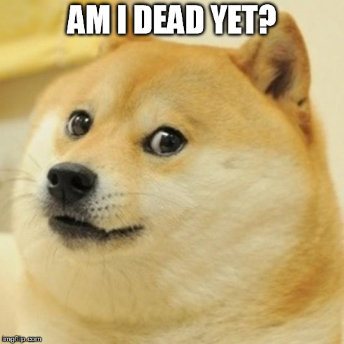 Doge Meme | AM I DEAD YET? | image tagged in memes,doge | made w/ Imgflip meme maker