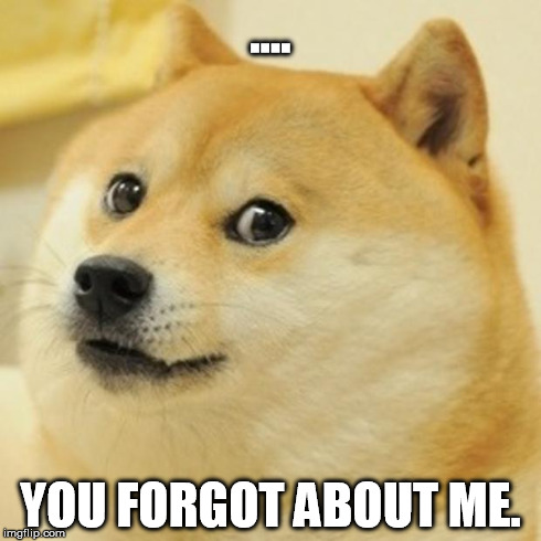 Doge Meme | .... YOU FORGOT ABOUT ME. | image tagged in memes,doge | made w/ Imgflip meme maker