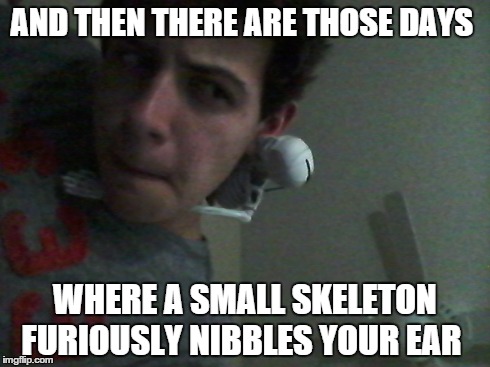 And then there are those days... | AND THEN THERE ARE THOSE DAYS WHERE A SMALL SKELETON FURIOUSLY NIBBLES YOUR EAR | image tagged in skeleton | made w/ Imgflip meme maker