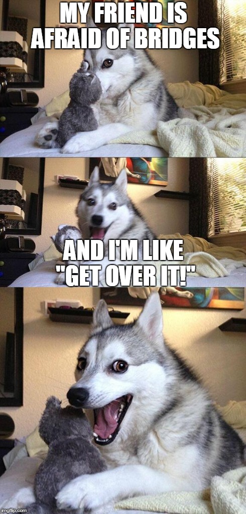 Bad Pun Dog | MY FRIEND IS AFRAID OF BRIDGES AND I'M LIKE "GET OVER IT!" | image tagged in memes,bad pun dog | made w/ Imgflip meme maker