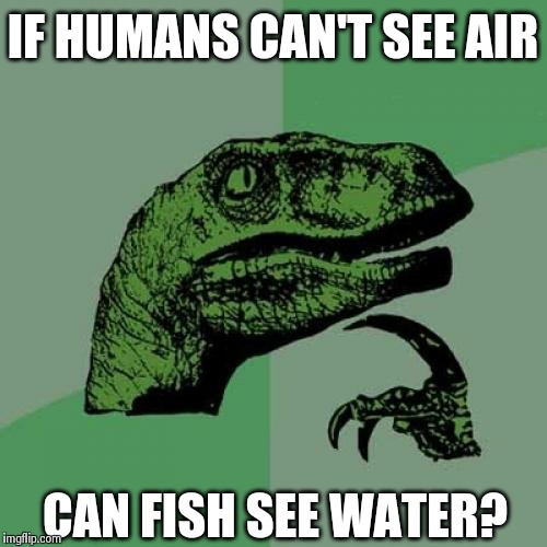 Philosoraptor | IF HUMANS CAN'T SEE AIR CAN FISH SEE WATER? | image tagged in memes,philosoraptor | made w/ Imgflip meme maker