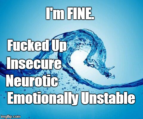 I'm FINE. F**ked Up Insecure Neurotic Emotionally Unstable | image tagged in i'm fine | made w/ Imgflip meme maker