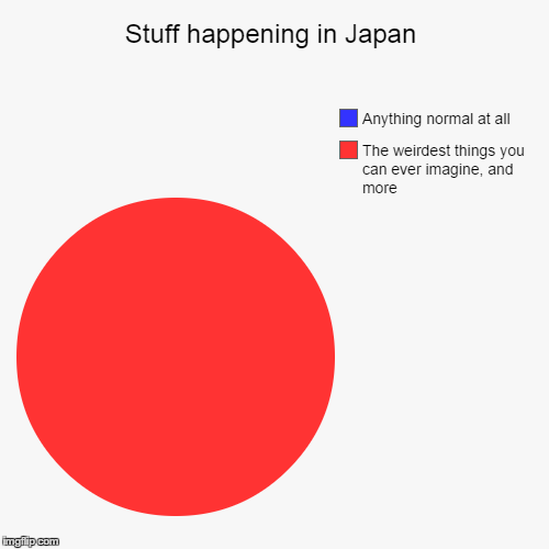 If you're not clever enough to realize it's a flag, go home. | image tagged in funny,pie charts,japan,japanese,in japan | made w/ Imgflip chart maker