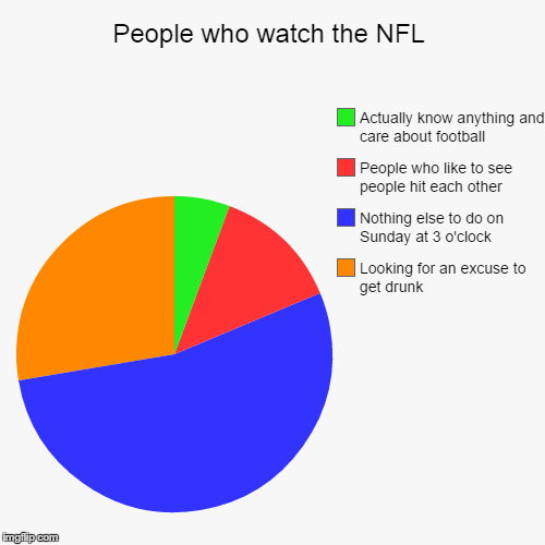 I can't be the only one who hates this... | image tagged in funny,pie charts,nfl,football,sports,sports fans | made w/ Imgflip chart maker