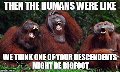 humans be like... | THEN THE HUMANS WERE LIKE WE THINK ONE OF YOUR DESCENDENTS MIGHT BE BIGFOOT | image tagged in launghing orangutans,evolution,monkeys,creationism,sfw | made w/ Imgflip meme maker