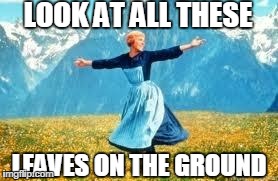The season's changed, and I'm like... | LOOK AT ALL THESE LEAVES ON THE GROUND | image tagged in memes,look at all these | made w/ Imgflip meme maker