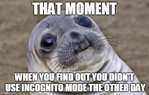 Awkward Moment Sealion | THAT MOMENT WHEN YOU FIND OUT YOU DIDN'T USE INCOGNITO MODE THE OTHER DAY | image tagged in memes,awkward moment sealion | made w/ Imgflip meme maker