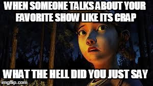 WHAT THE HELL DID YOU JUST SAY WHEN SOMEONE TALKS ABOUT YOUR FAVORITE SHOW LIKE ITS CRAP | image tagged in wth did you say | made w/ Imgflip meme maker