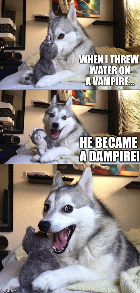 Bad Pun Dog | WHEN I THREW WATER ON A VAMPIRE... HE BECAME A DAMPIRE! | image tagged in memes,bad pun dog | made w/ Imgflip meme maker