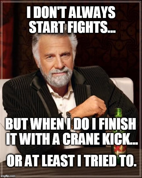 The Most Interesting Man In The World | I DON'T ALWAYS START FIGHTS... BUT WHEN I DO I FINISH IT WITH A CRANE KICK... OR AT LEAST I TRIED TO. | image tagged in memes,the most interesting man in the world | made w/ Imgflip meme maker