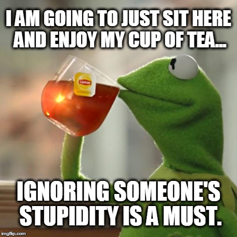 But That's None Of My Business Meme | I AM GOING TO JUST SIT HERE AND ENJOY MY CUP OF TEA... IGNORING SOMEONE'S STUPIDITY IS A MUST. | image tagged in memes,but thats none of my business,kermit the frog | made w/ Imgflip meme maker
