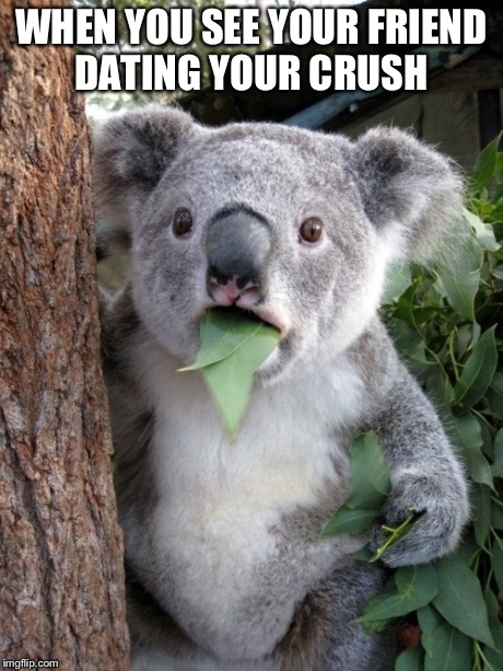 Surprised Koala | WHEN YOU SEE YOUR FRIEND DATING YOUR CRUSH | image tagged in memes,surprised coala | made w/ Imgflip meme maker