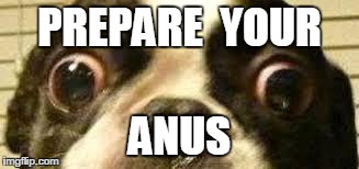 Hello | PREPARE  YOUR ANUS | image tagged in nsfw | made w/ Imgflip meme maker
