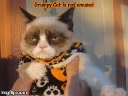 Grumpy Cat Halloween Meme | Grumpy Cat is not amused | image tagged in grumpy cat halloween | made w/ Imgflip meme maker