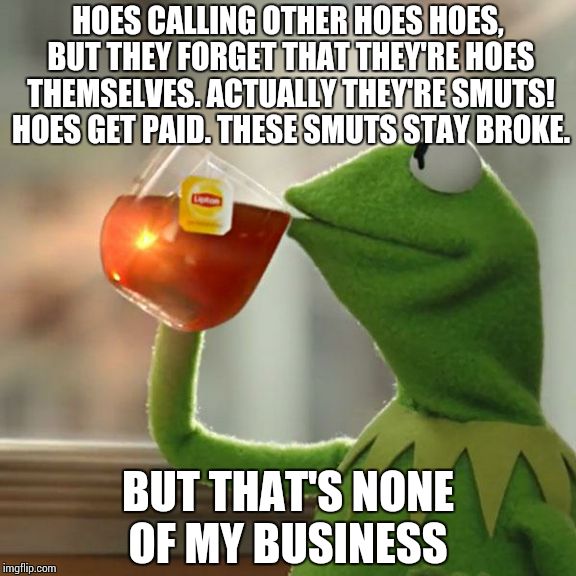 But That's None Of My Business | HOES CALLING OTHER HOES HOES, BUT THEY FORGET THAT THEY'RE HOES THEMSELVES. ACTUALLY THEY'RE SMUTS! HOES GET PAID. THESE SMUTS STAY BROKE. B | image tagged in memes,but thats none of my business,kermit the frog | made w/ Imgflip meme maker