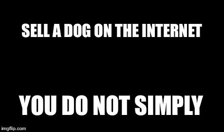 One Does Not Simply Meme | YOU DO NOT SIMPLY SELL A DOG ON THE INTERNET | image tagged in memes,one does not simply | made w/ Imgflip meme maker