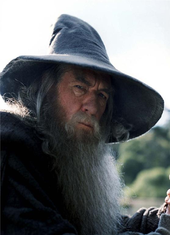 Gandalf No Other Choice Blank Meme Template