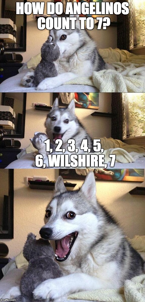 Bad Pun Dog | HOW DO ANGELINOS COUNT TO 7? 1, 2, 3, 4, 5, 6, WILSHIRE, 7 | image tagged in memes,bad pun dog,LosAngeles | made w/ Imgflip meme maker